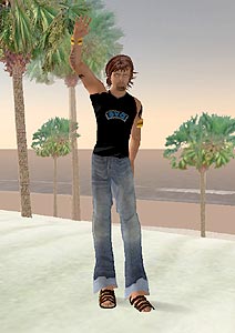 Pesquisa aponta perfil de brasileiros no Second Life